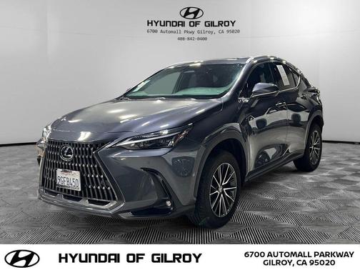 2024 Lexus NX 250 Premium