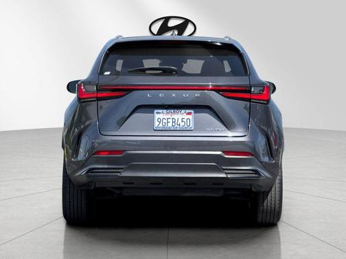 Cloudburst Gray 2024 Lexus NX 250 Premium