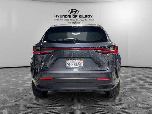 2024 Lexus NX 250 Premium