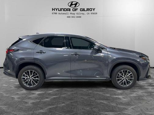 2024 Lexus NX 250 Premium