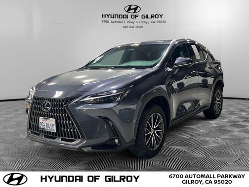 2024 Lexus NX 250 Premium