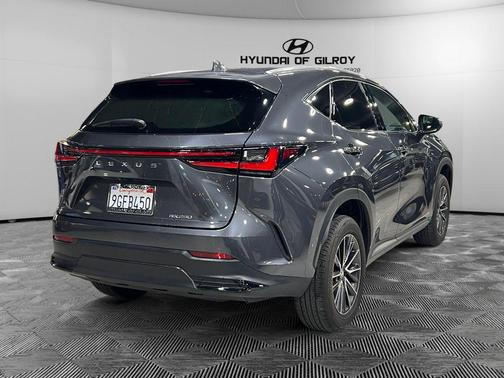 2024 Lexus NX 250 Premium