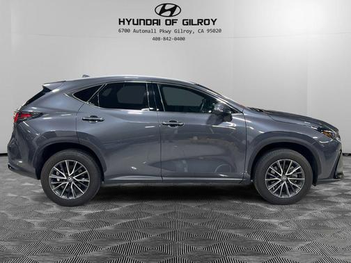 2024 Lexus NX 250 Premium