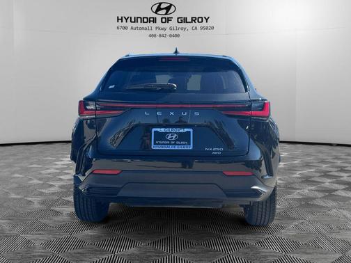 2022 Lexus NX 250 Base