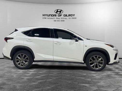 2019 Lexus NX 300 F Sport