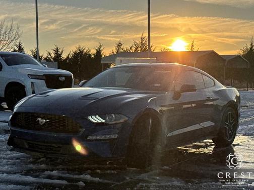 2022 Ford Mustang 