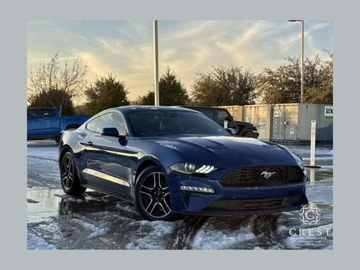 2022 Ford Mustang 