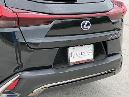 2022 Lexus UX 250h F Sport
