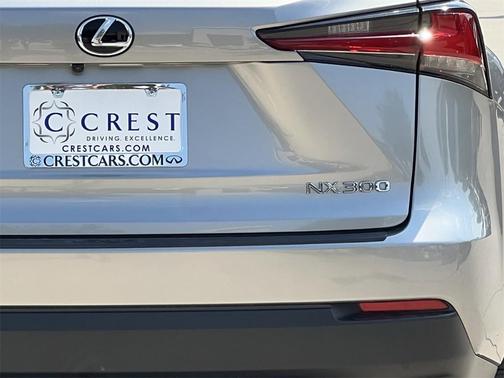 2021 Lexus NX 300 F Sport