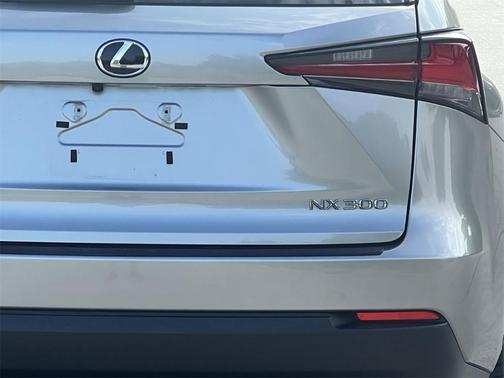 2021 Lexus NX 300 F Sport