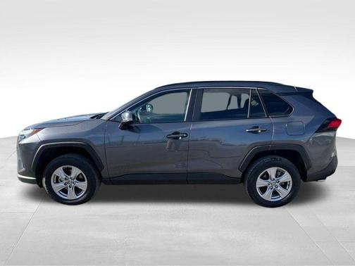 Magnetic Gray Metallic 2025 Toyota RAV4 XLE