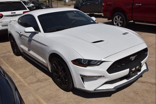 Oxford White 2019 Ford Mustang EcoBoost