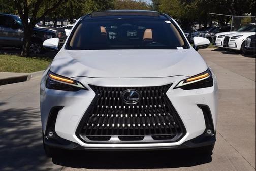 2024 Lexus NX 350 Luxury