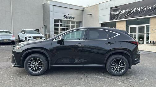 2024 Lexus NX 350 Premium