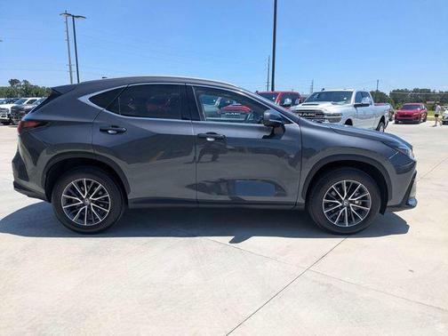 Gray 2025 Lexus NX 250 Premium
