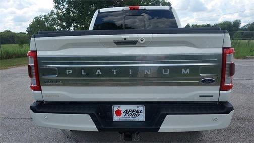 2021 Ford F-150 Platinum