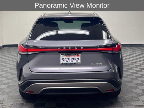 Nebula Gray Pearl 2023 Lexus RX 350 Premium