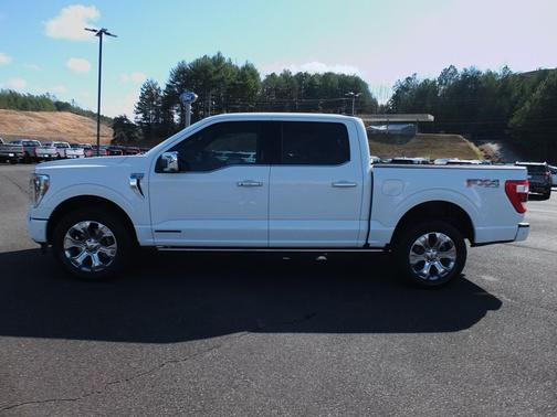 2021 Ford F-150 Platinum