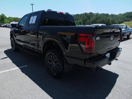 Agate Black Metallic 2025 Ford F-150 Tremor