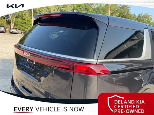 Panthera Metal 2024 Kia Carnival LX