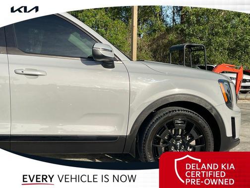 Wolf Gray 2022 Kia Telluride EX