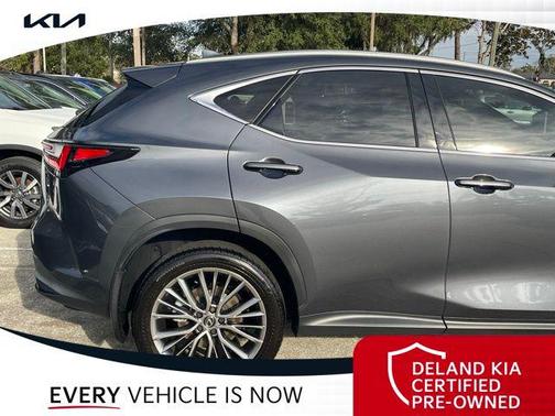2022 Lexus NX 350 Luxury