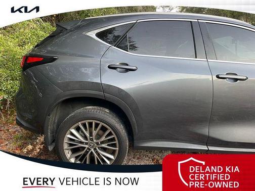 2022 Lexus NX 350 Luxury