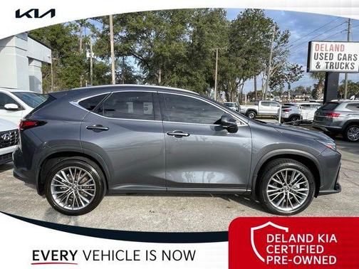 2022 Lexus NX 350 Luxury