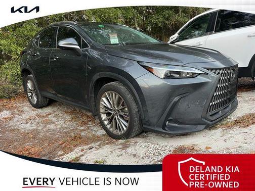 2022 Lexus NX 350 Luxury