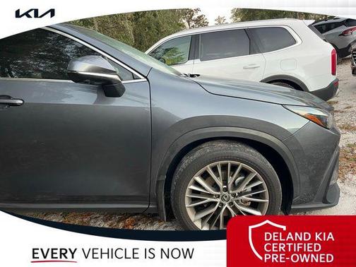 2022 Lexus NX 350 Luxury