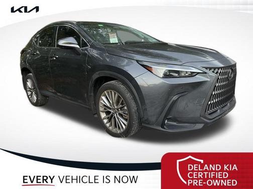2022 Lexus NX 350 Luxury