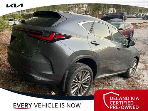 2022 Lexus NX 350 Luxury