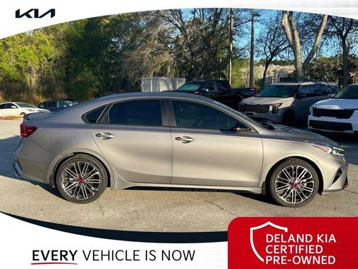 Steel Gray 2023 Kia Forte GT