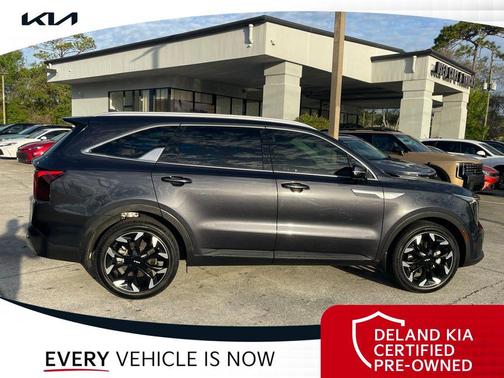 Panthera Metal 2025 Kia Sorento EX