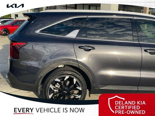 Panthera Metal 2025 Kia Sorento EX