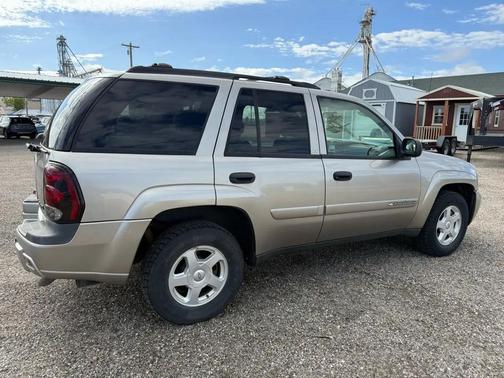 GOLD 2002 Chevrolet Trailblazer LS