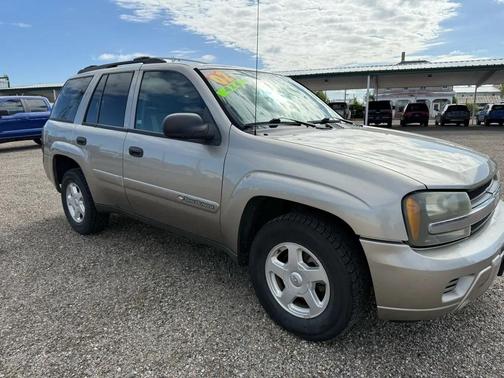 GOLD 2002 Chevrolet Trailblazer LS