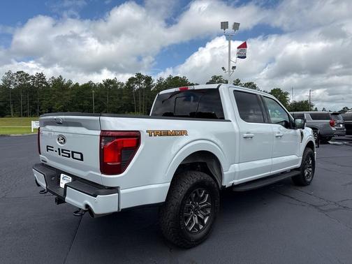 SPACE WHIT 2025 Ford F-150 Tremor