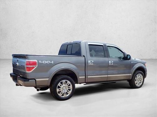 Sterling Gray Metallic 2009 Ford F-150 Platinum
