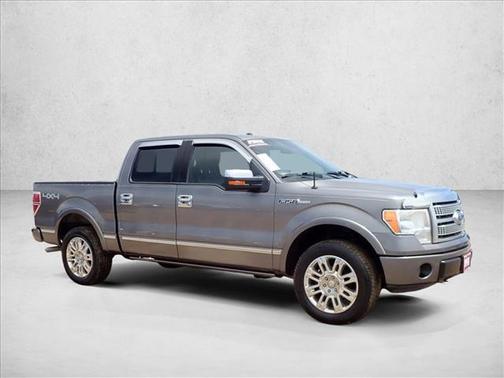 Sterling Gray Metallic 2009 Ford F-150 Platinum