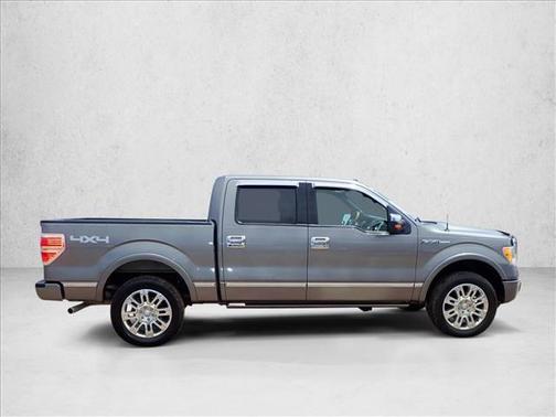 Sterling Gray Metallic 2009 Ford F-150 Platinum
