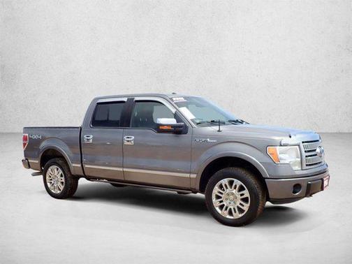 Sterling Gray Metallic 2009 Ford F-150 Platinum