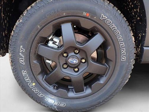 2025 Subaru Outback Wilderness