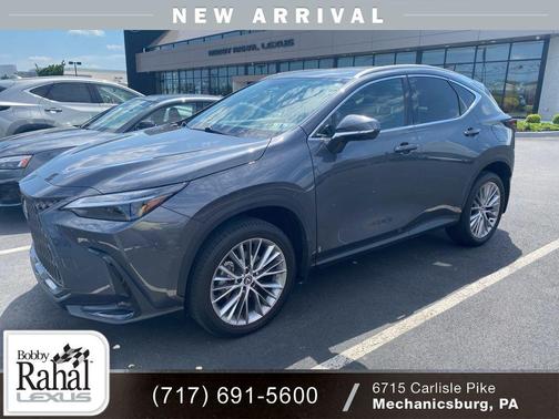 Cloudburst Gray 2024 Lexus NX 350 Luxury