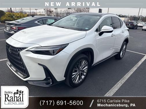 2024 Lexus NX 350h Luxury