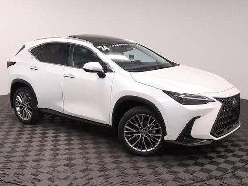 2024 Lexus NX 350h Luxury