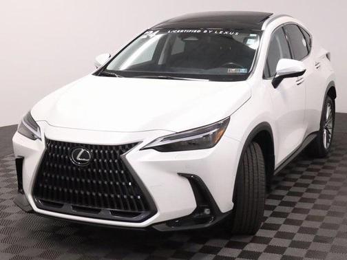 2024 Lexus NX 350h Luxury