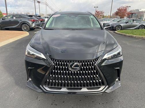 2024 Lexus NX 350h Premium