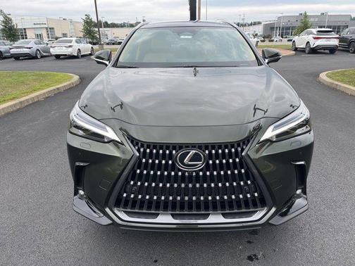 2025 Lexus NX 350 Luxury