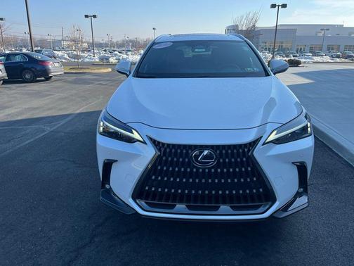 2025 Lexus NX 350 Premium